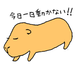 In a relaxed mood! A capybara!! sticker #1404907