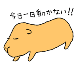 In a relaxed mood! A capybara!! sticker #1404907