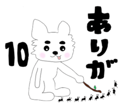 Tongue out Chihuahua sticker #1405100