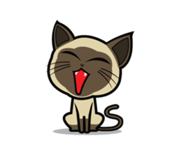 17 Siamese Cat sticker #1405612