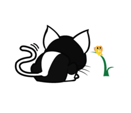 17 Siamese Cat sticker #1405648