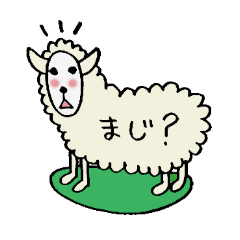 Forty sheep
