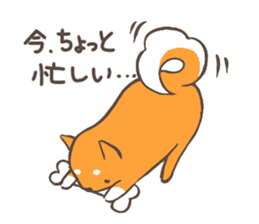 Thick Shiba Inu sticker #1406518