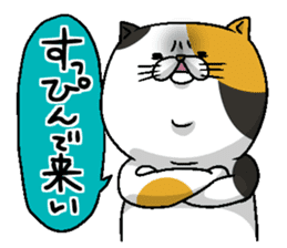 Motchirineko that wants to play with you sticker #1416397