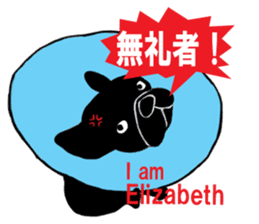 FrenchbulldogB-chan sticker #1416748