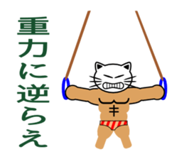 Macho white cat sticker #1417109