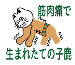 Macho white cat sticker #1417115