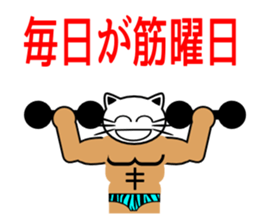 Macho white cat sticker #1417128