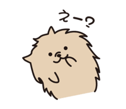 Pomeranian and Shihtzu sticker #1417344