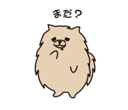 Pomeranian and Shihtzu sticker #1417351