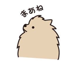 Pomeranian and Shihtzu sticker #1417354