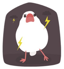 BirdsDay sticker #1420743