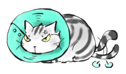 Natasha & Gigi, cat ver. sticker #1421067