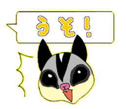 A balloon of  sugar glider sticker #1421536