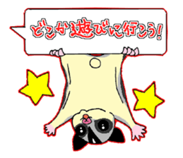 A balloon of  sugar glider sticker #1421537