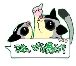 A balloon of  sugar glider sticker #1421539