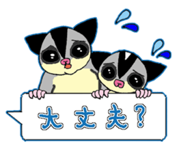 A balloon of  sugar glider sticker #1421542