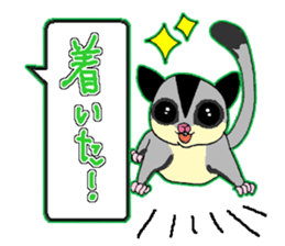 A balloon of  sugar glider sticker #1421544