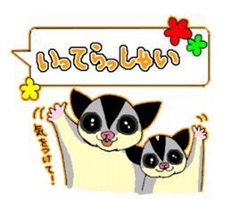 A balloon of  sugar glider sticker #1421552