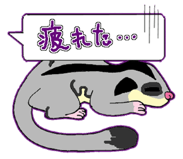 A balloon of  sugar glider sticker #1421556
