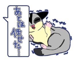 A balloon of  sugar glider sticker #1421557