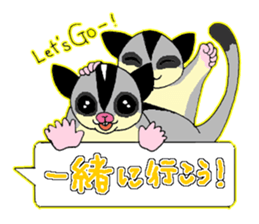 A balloon of  sugar glider sticker #1421558