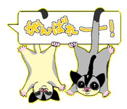 A balloon of  sugar glider sticker #1421561