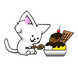 Cute cats and kittens! sticker #1422112