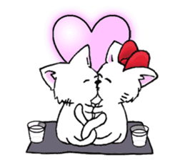 Cute cats and kittens! sticker #1422118