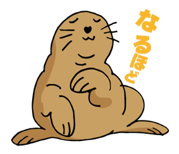 BAOchan of northern sea lion sticker #1423341