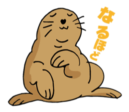 BAOchan of northern sea lion sticker #1423341