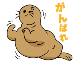 BAOchan of northern sea lion sticker #1423347