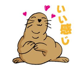 BAOchan of northern sea lion sticker #1423356