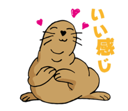 BAOchan of northern sea lion sticker #1423356