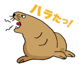 BAOchan of northern sea lion sticker #1423358
