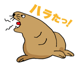 BAOchan of northern sea lion sticker #1423358