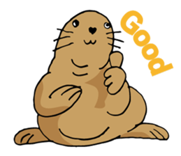 BAOchan of northern sea lion sticker #1423359