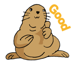 BAOchan of northern sea lion sticker #1423359