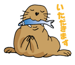 BAOchan of northern sea lion sticker #1423362