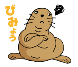 BAOchan of northern sea lion sticker #1423364
