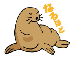 BAOchan of northern sea lion sticker #1423366