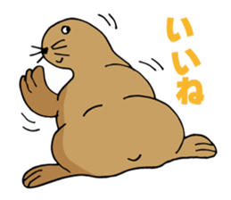 BAOchan of northern sea lion sticker #1423367