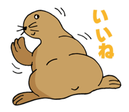 BAOchan of northern sea lion sticker #1423367