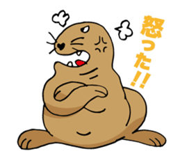 BAOchan of northern sea lion sticker #1423368