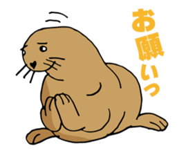 BAOchan of northern sea lion sticker #1423371