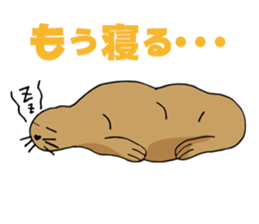 BAOchan of northern sea lion sticker #1423372