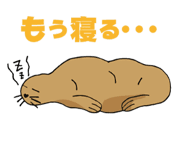 BAOchan of northern sea lion sticker #1423372