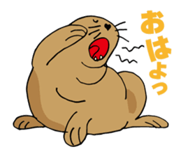 BAOchan of northern sea lion sticker #1423374