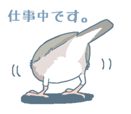 Buncho Box sticker #1423430