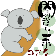 Koala a good listener